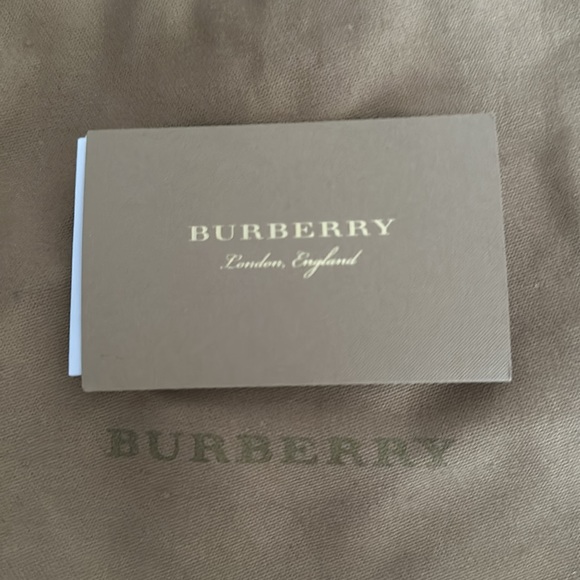Authentic Burberry Small Banner Leather Bag - Picture 8 of 8